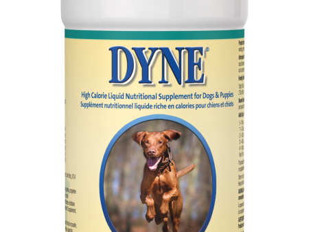 Pet-Ag Dyne® High Calorie Liquid Nutritional Supplement for Dogs & Puppies Online now