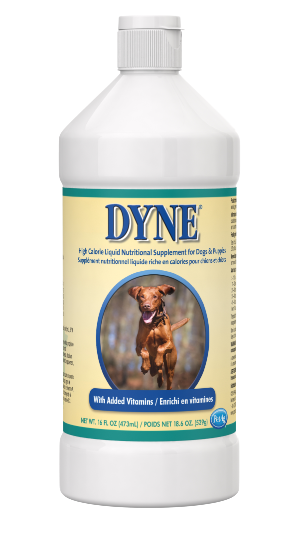 Pet-Ag Dyne® High Calorie Liquid Nutritional Supplement for Dogs & Puppies Online now