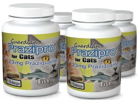 Guardian Praziguard® Praziquantel 23mg for Cats For Discount