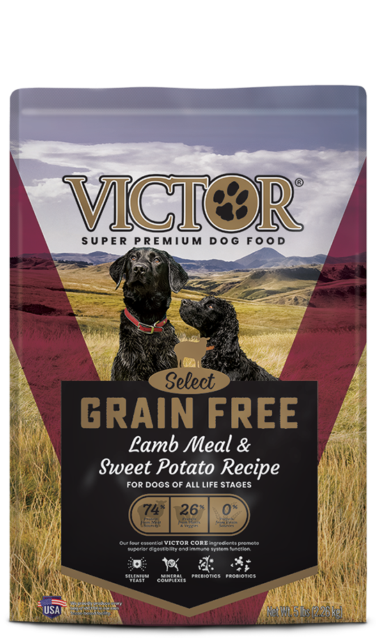 Victor Grain Free Lamb Meal & Sweet Potato Recipe For Sale