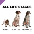 Purina Pro Plan Sport All Life Stages Performance 30 20 Salmon & Rice Formula Dry Dog Food For Discount